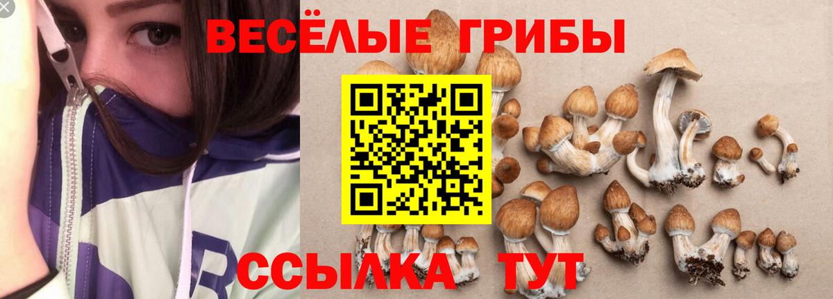 Галлюциногенные грибы мицелий Жигулёвск